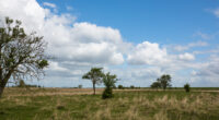 Natuur bij Krammer-Volkerak