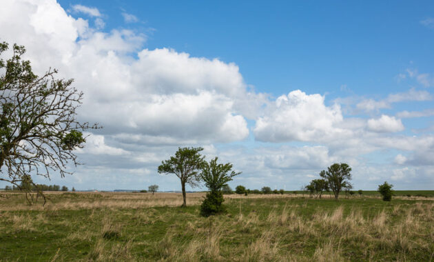 Natuur bij Krammer-Volkerak