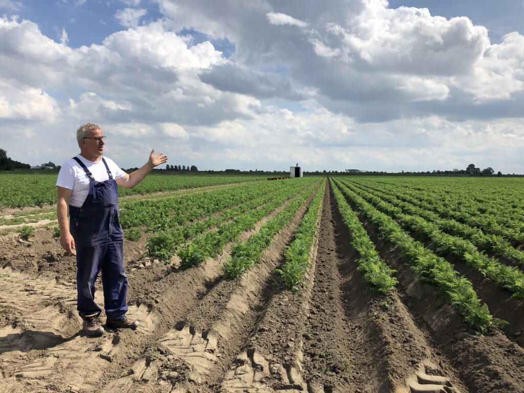 De proef Drainstore richt zich op zoetwateropslag in de ondergrond van een perceel van het agrarisch bedrijf Meulwaeter in Kruiningen met als extra doel een ontkoppeling van het regionaal watersysteem.