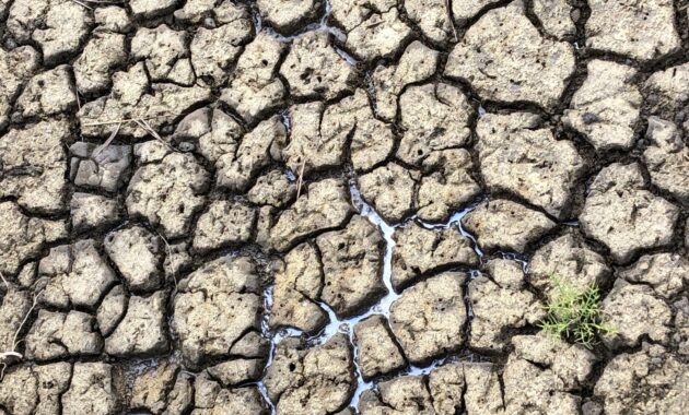 Droogte - Zoetwatermaatregelen Zuidwestelijke Delta