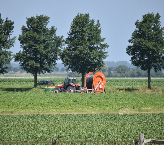 Landbouw en zoetwater op Tholen - Nelie Houtekamer