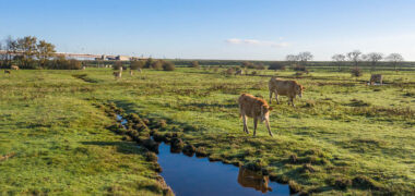 Kapelse Moer in de herfst