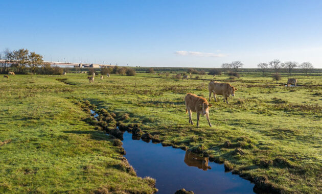 Kapelse Moer in de herfst