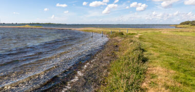 Grevelingen, Melissant © Loes De Jong