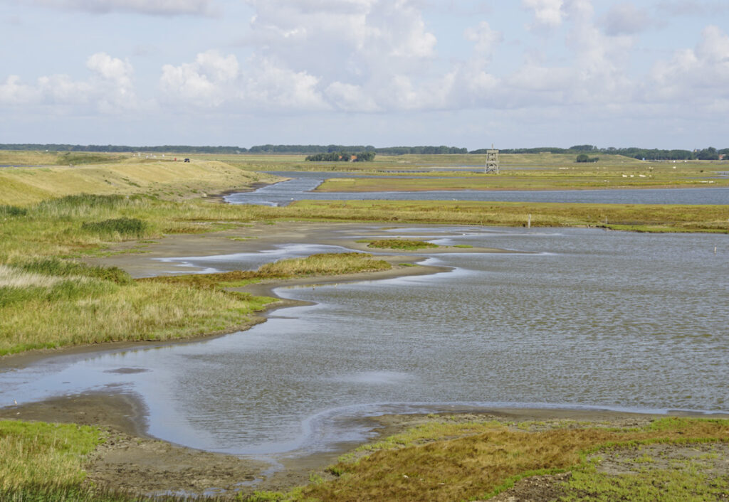 Natuurgebied Plan Tureluur op Schouwen-Duiveland © Monique Theuns