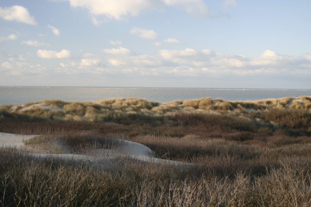 Strand en Duinen op Schouwen-Duiveland © Monique Theuns