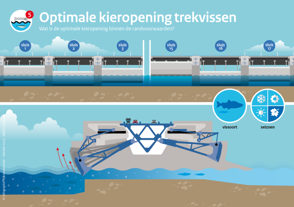 Wat is de optimale kieropening van de Haringvlietsluizen binnen de randvoorwaarden?