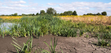 Droog landschap © Deltaprogramma