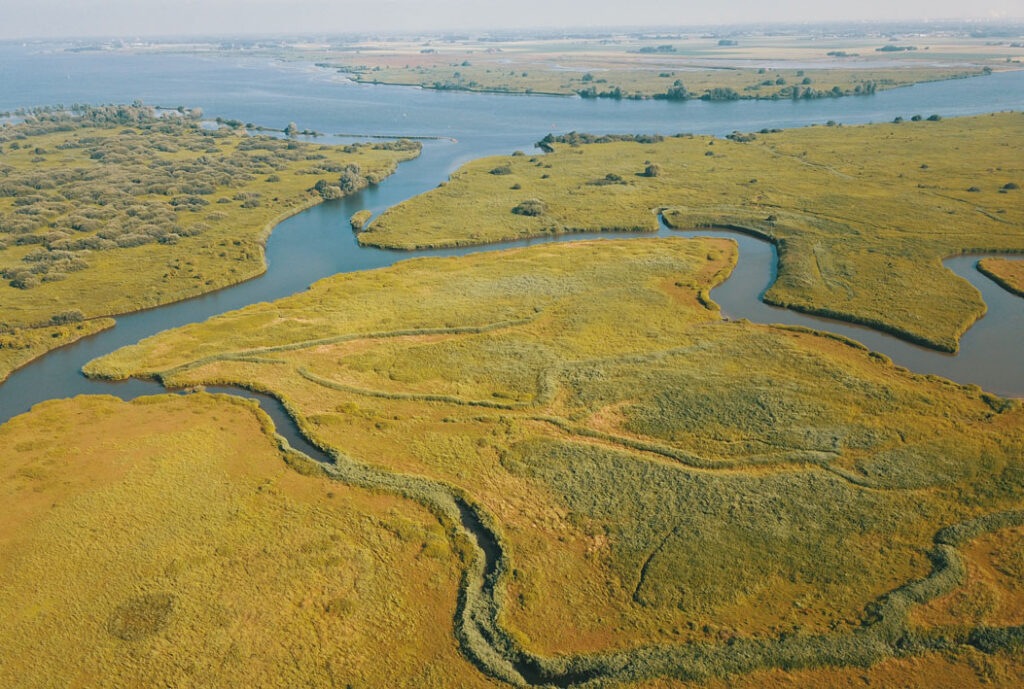 Korendijkse Slikken © Natuurmonumenten, Jan de Roon