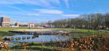 Regenwateropvang in het Molenwaterpark in Middelburg © Aukje de Vries