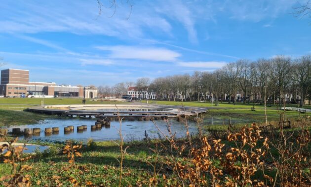 Regenwateropvang in het Molenwaterpark in Middelburg © Aukje de Vries