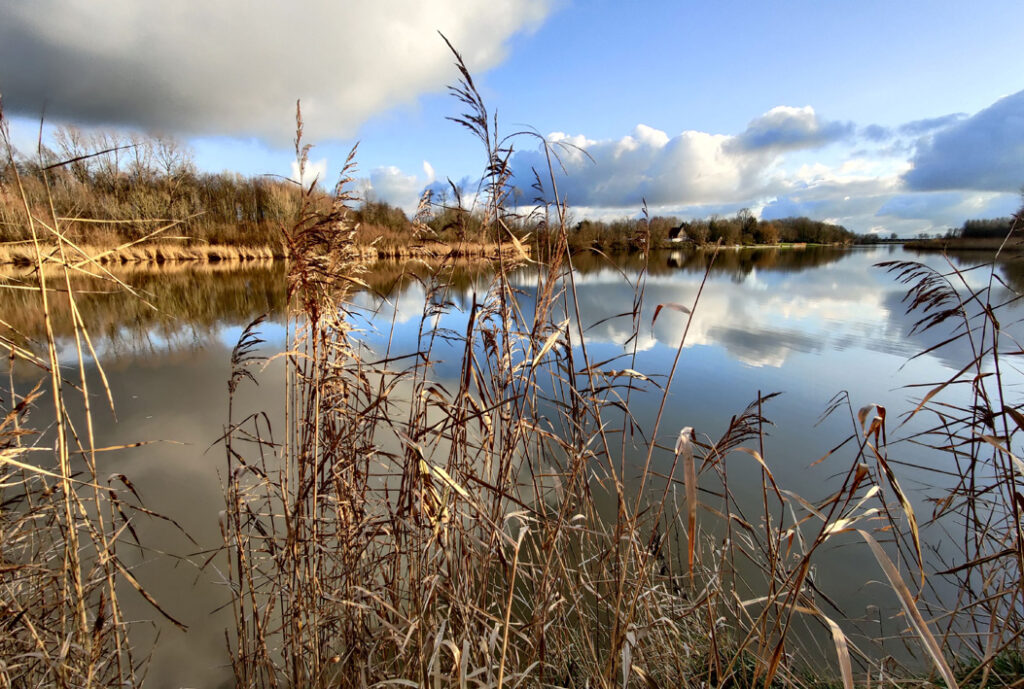 Krekenlandschap © Nelie Houtekamer I Kaderrichtlijn Water