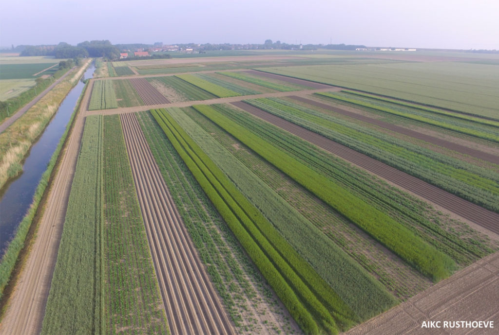 Naar een toekomstbestendige landbouw in Zeeland is een samenwerking van ZAJK, Agrarisch Innovatie en Kenniscentrum Rusthoeve, Stichting Het Zeeuwse Landschap, ZMf, Delphy en DLV Advies.