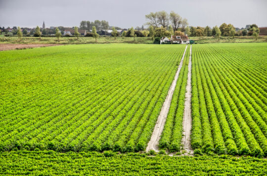 Grensontkennend samenwerken via IBP Vitaal Platteland