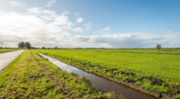 Grenzeloos samenwerken aan een zichtbare en toekomstbestendige Zuidwestelijke Delta via IBP Vitaal Platteland