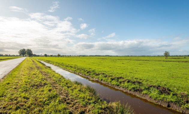 Grenzeloos samenwerken aan een zichtbare en toekomstbestendige Zuidwestelijke Delta via IBP Vitaal Platteland