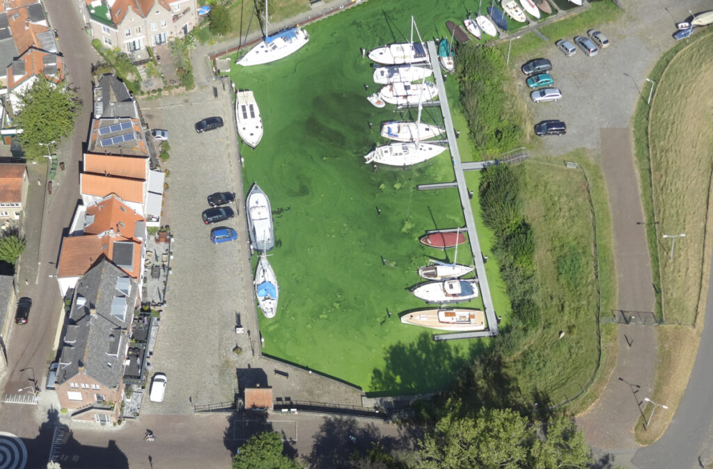 Inspectievlucht blauwalg Volkerak-Zoommeer Ooltgensplaat