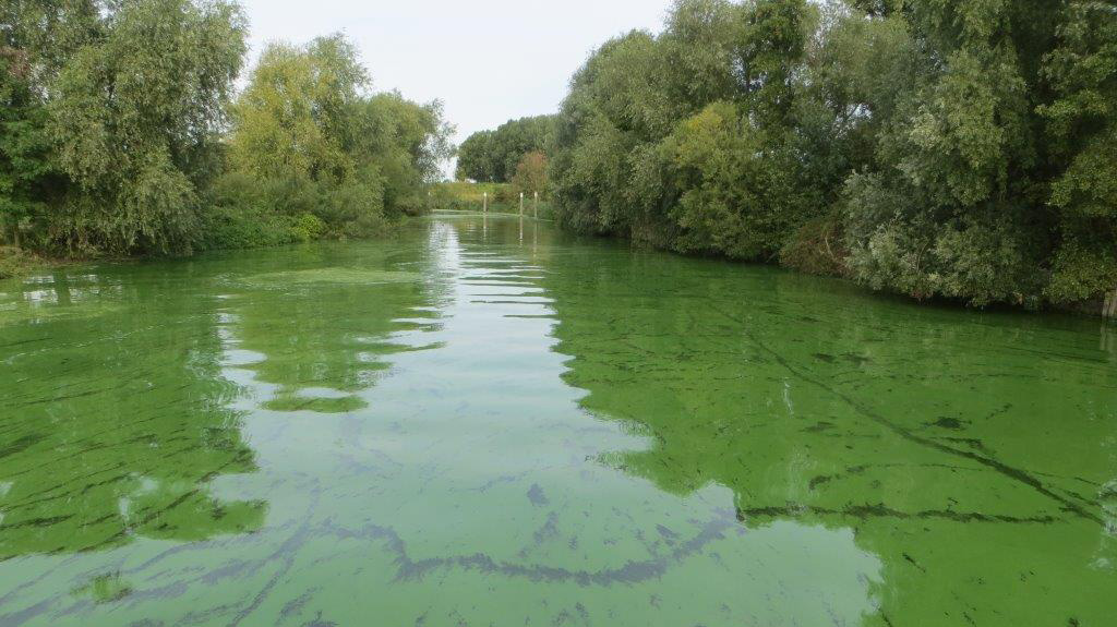 dealer Museum Lijkt op Welke gevolgen had de droogte voor het Volkerak-Zoommeer? - Zuidwestelijke  Delta