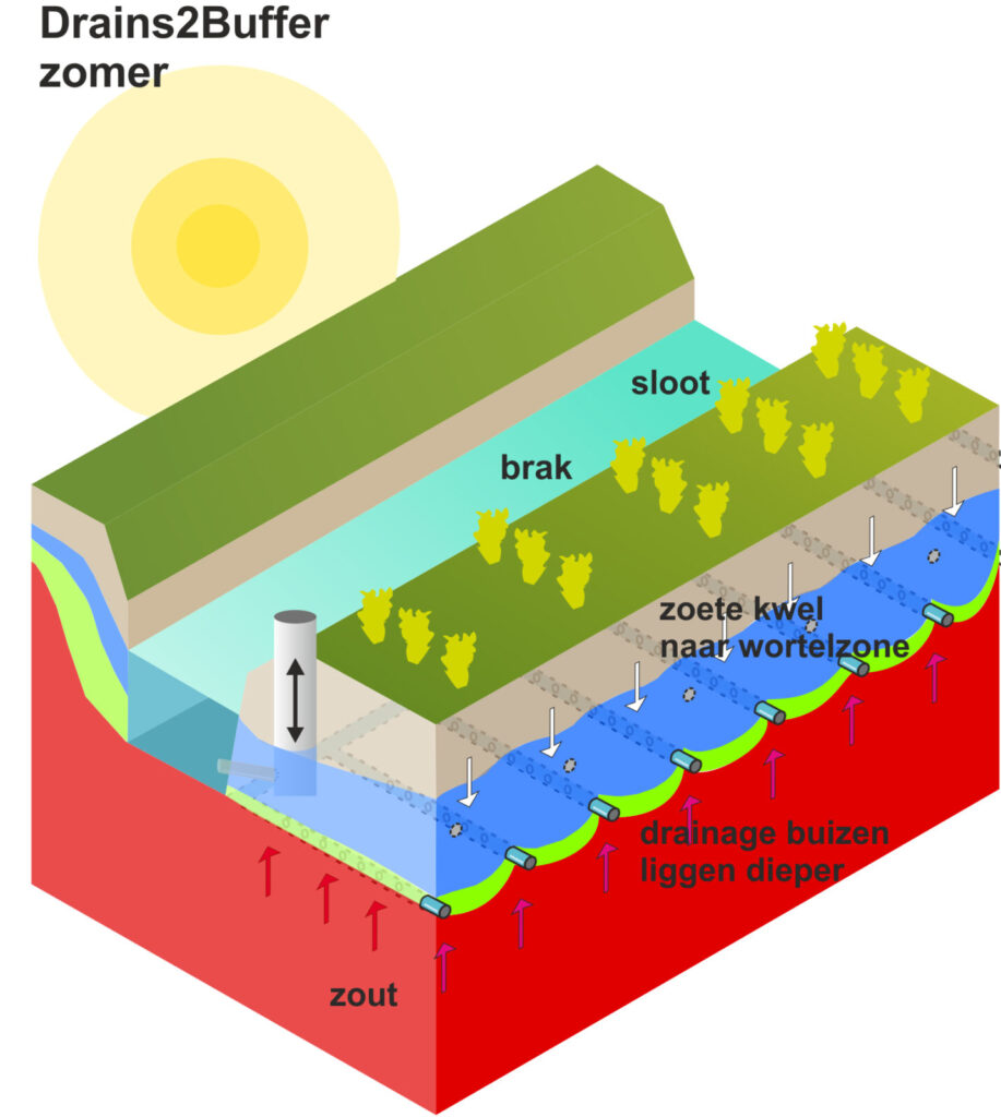 Drains2Buffer