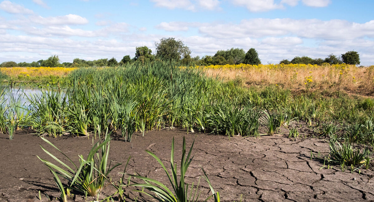 Droog landschap © Deltaprogramma