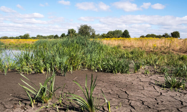 Droog landschap © Deltaprogramma