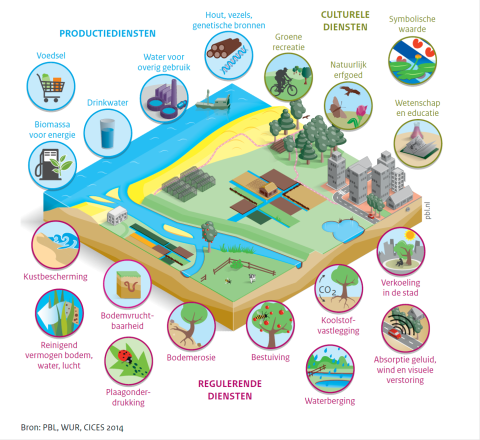 Voorbeelden ecosysteemdiensten water. Bron: Planbureau leefomgeving/Wageningen Universiteit, 2014