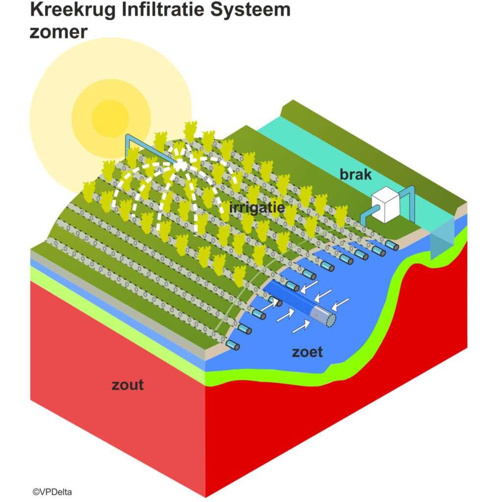 Het Kreekrug Infiltratiesysteem