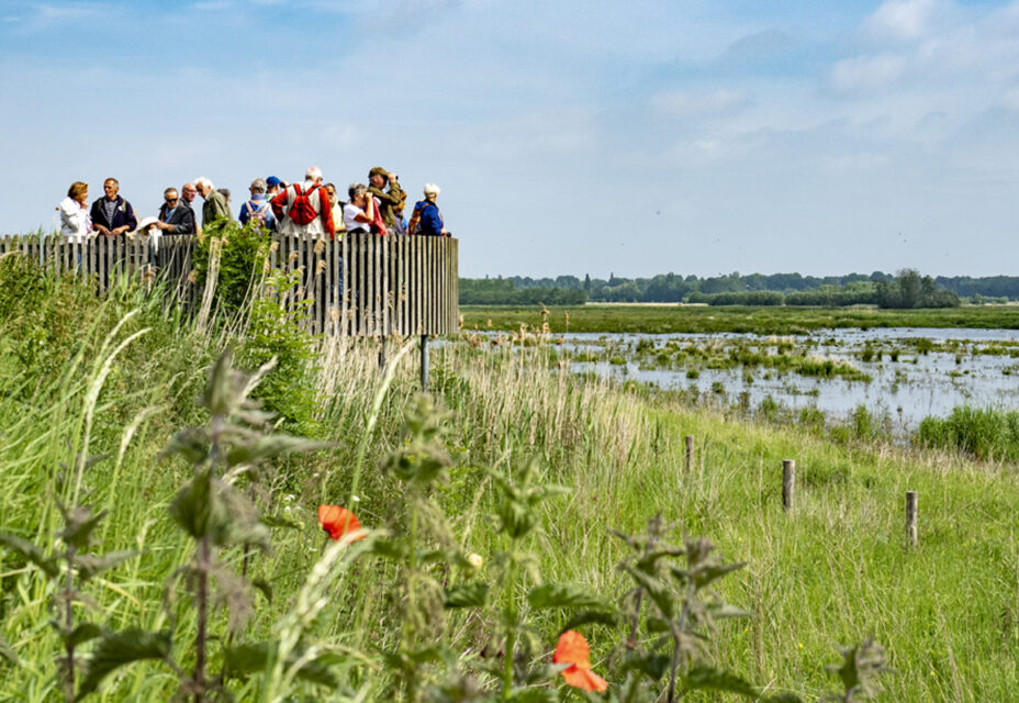 Noordpolder/Brabantse Wal - © Piet Bout