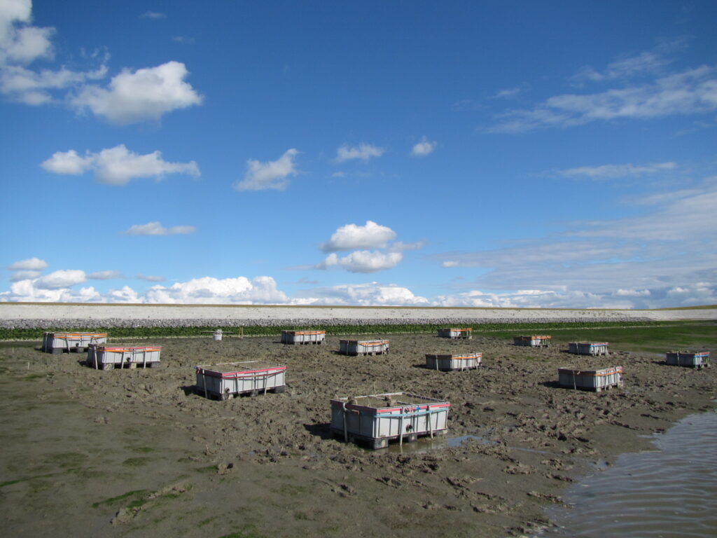 Perkpolder