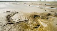 Perkpolder kreek