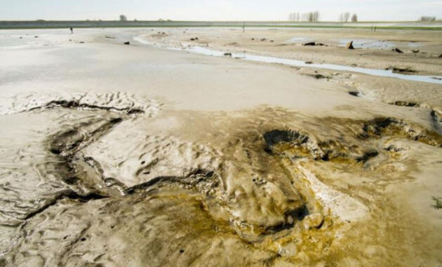 Perkpolder kreek