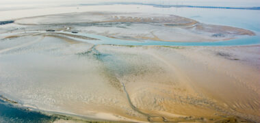 Roggenplaat Oosterschelde