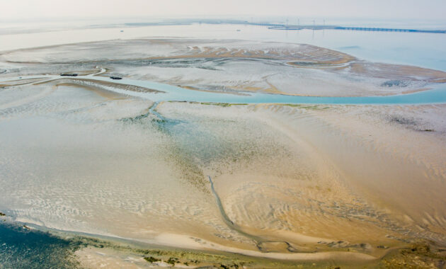 Roggenplaat Oosterschelde