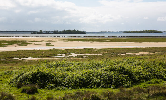 Grevelingen Volkerak Zoommeer