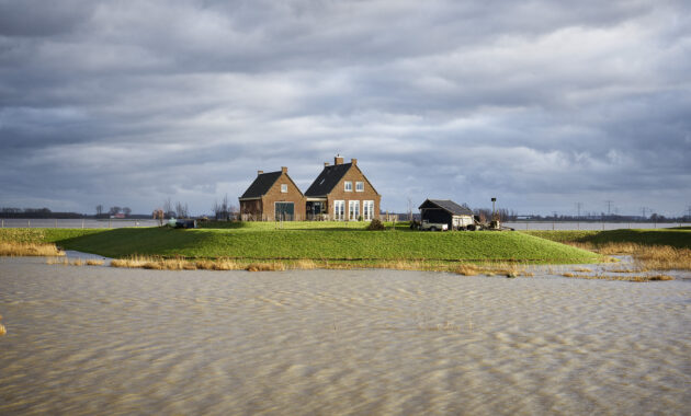 Terp in het water