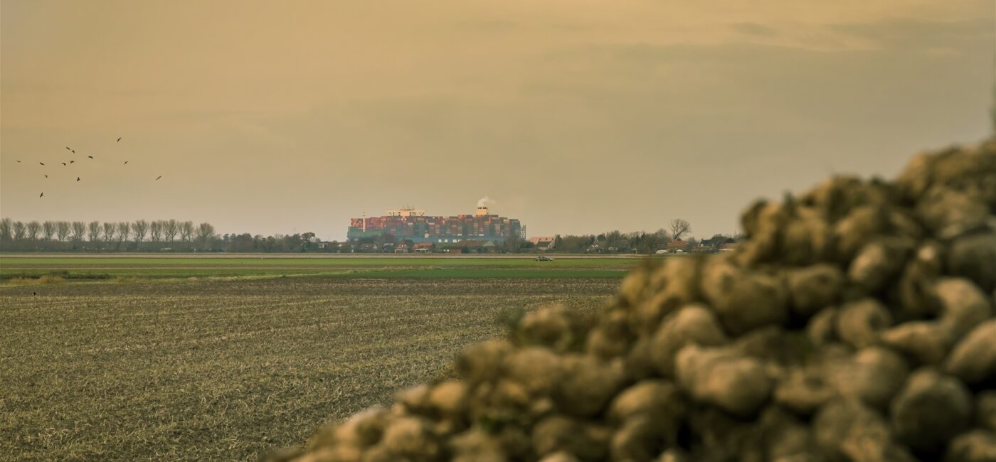 GGS Drie Eenheid © Grenspark Groot Saeftinghe - Sven Dullaert