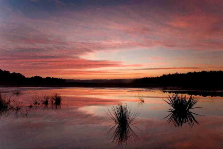 De Groote Meer, Brabantse Wal © Provincie Noord-Brabant