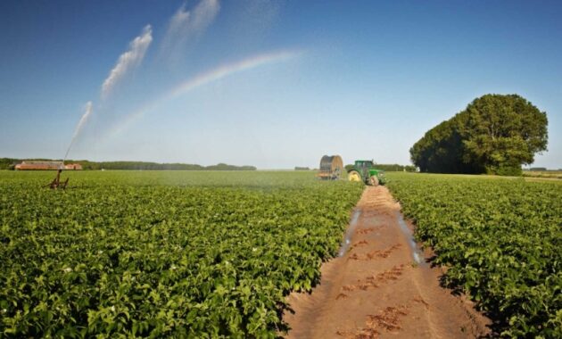 Zoetwatervoorziening landbouw