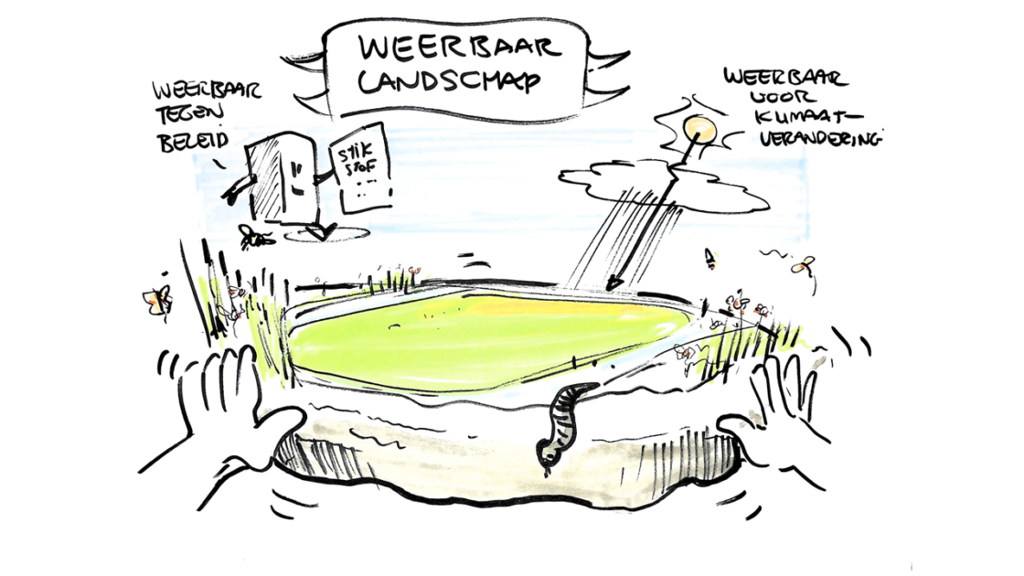 Workshop 3: Volhoudbare landbouw voedt de Zuidwestelijke Delta