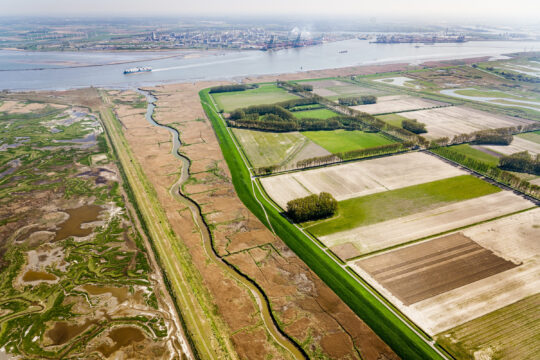 Hedwigepolder