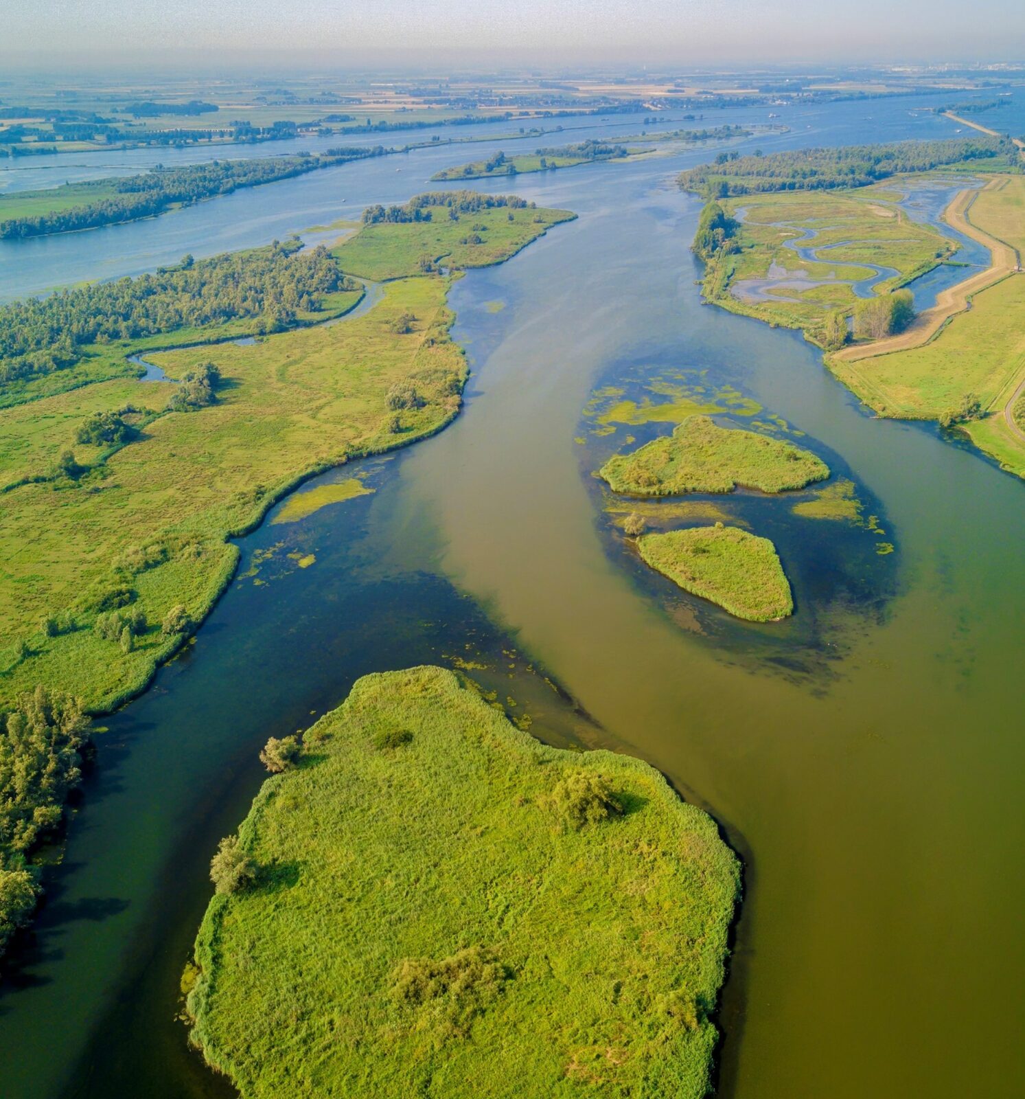 Preverkenning Biesbosch Rijn-Maasmonding - Zuidwestelijke Delta