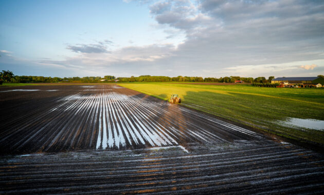 Zuidwestelijke Delta - Natte akkers op Walcheren