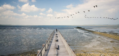 Zuidwestelijke Delta - Westerschelde