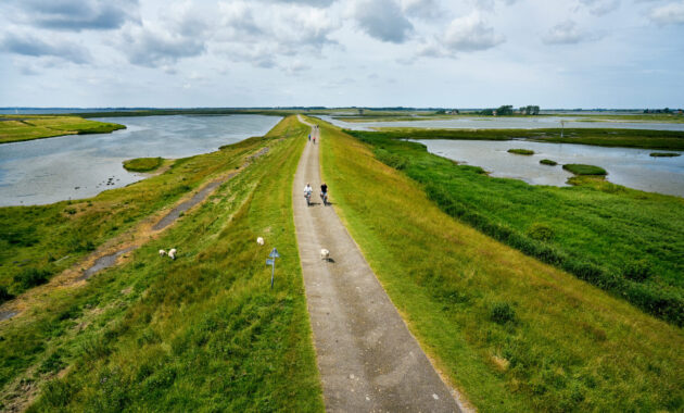 Zuidwestelijke Delta - Fietsen op Schouwen-Duiveland