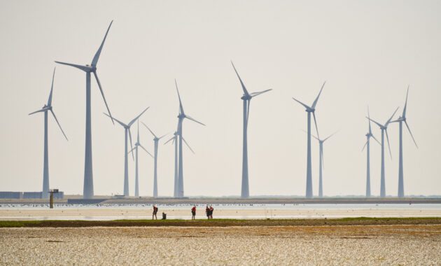 Zuidwestelijke Delta - Zicht op de Krammersluizen