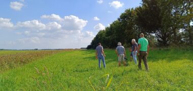 IBP Vitaal Platteland - Groen-blauwe dooradering