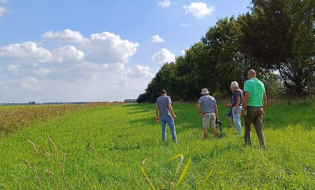 IBP Vitaal Platteland - Groen-blauwe dooradering