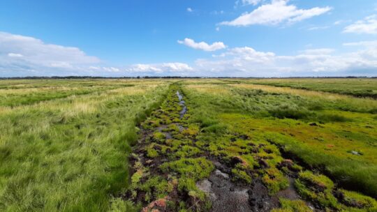 IBP Vitaal Platteland - Yerseke Moer wolkenluchten