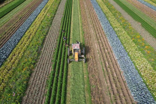 IBP Vitaal Platteland - Strokenteelt met trekker