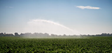 Zuidwestelijke Delta - Beregenen op Schouwen-Duiveland